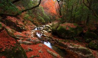 光雾山风景区最佳时间